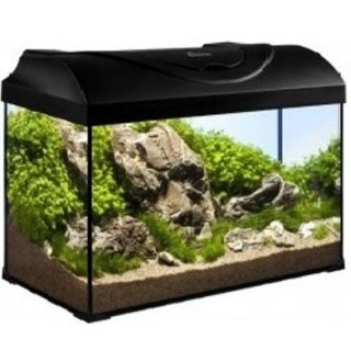 Akvarijní sada 50cm/37,5l s LED osvětlením 10W - černý kryt  AKCE